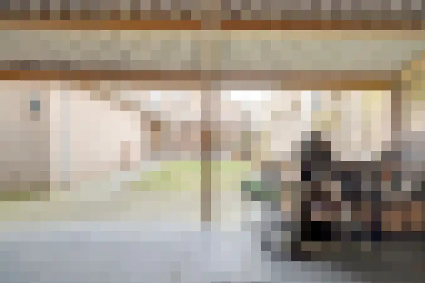 Prins Bernhardlaan 8 Vlijmen thumbnail 48