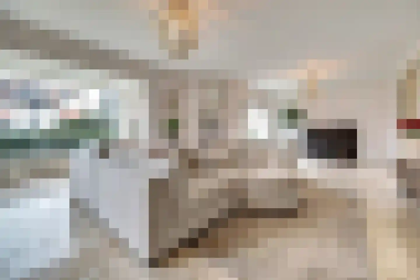 Prins Bernhardlaan 8 Vlijmen thumbnail 5