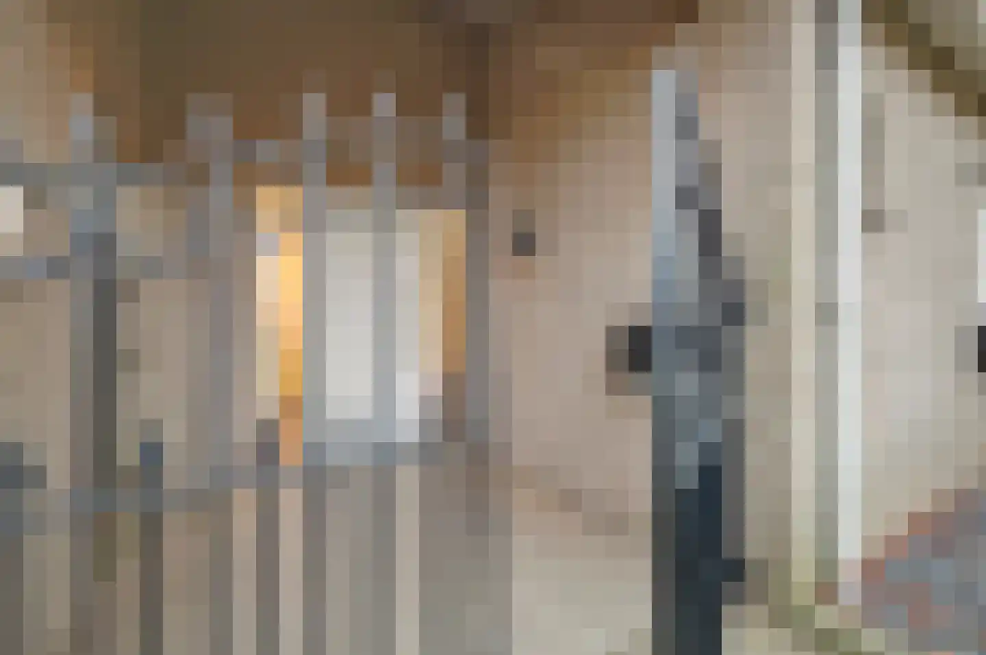 Prins Bernhardlaan 8 Vlijmen thumbnail 58