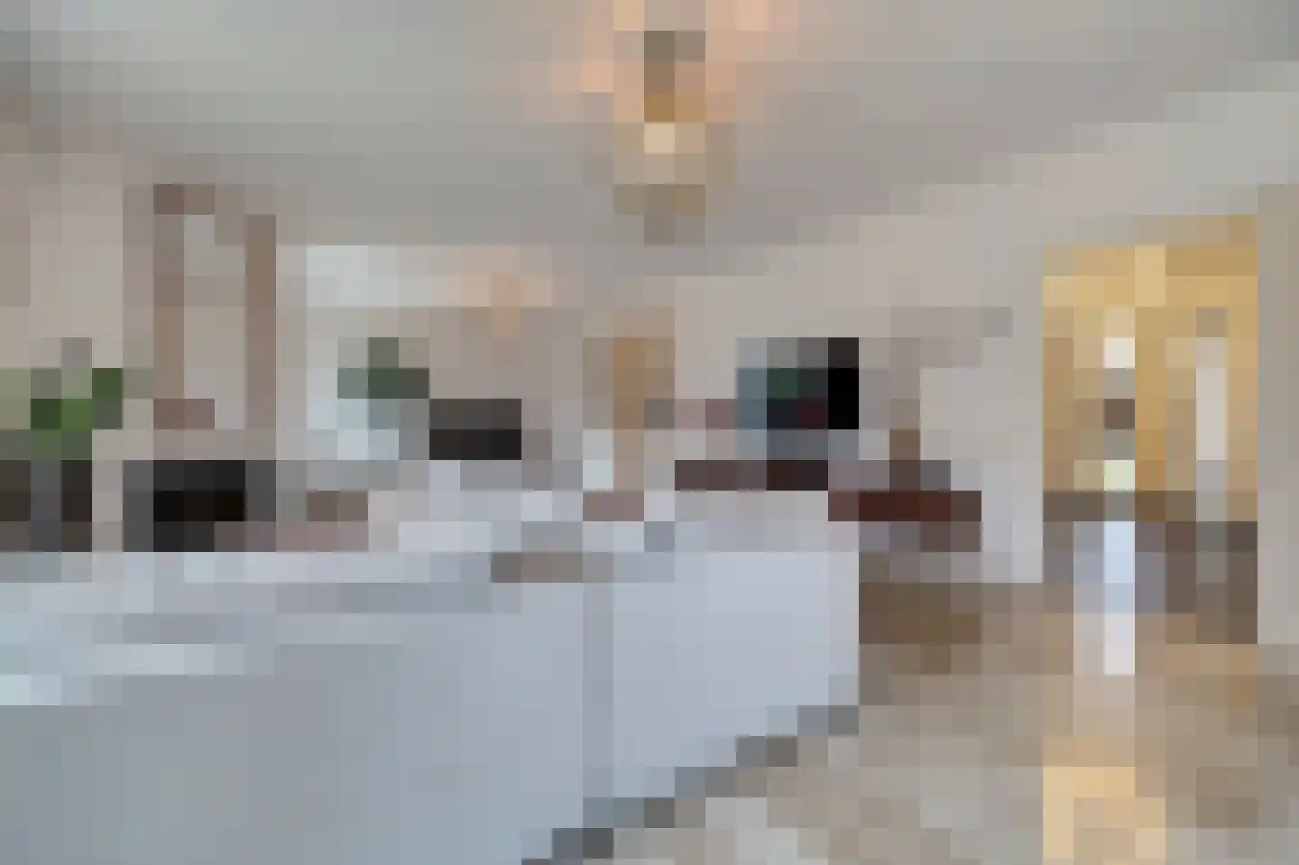 Prins Bernhardlaan 8 Vlijmen thumbnail 6