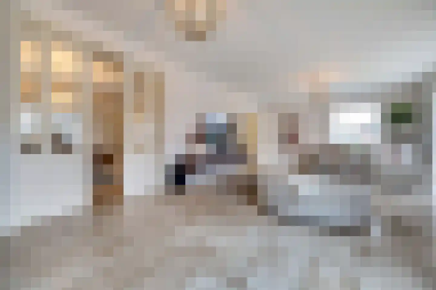 Prins Bernhardlaan 8 Vlijmen thumbnail 7