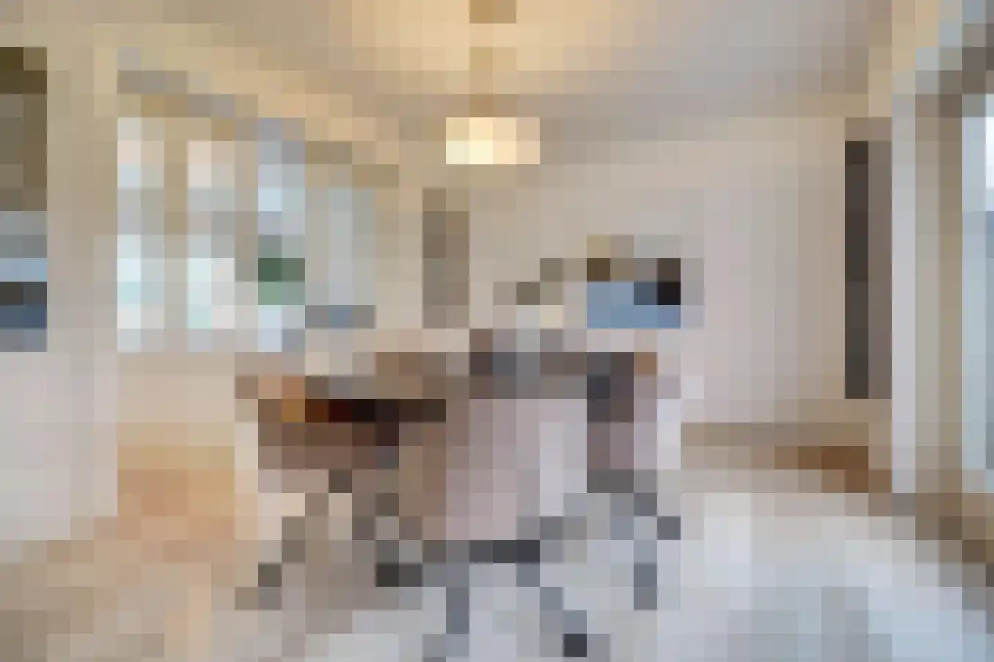 Prins Bernhardlaan 8 Vlijmen thumbnail 9