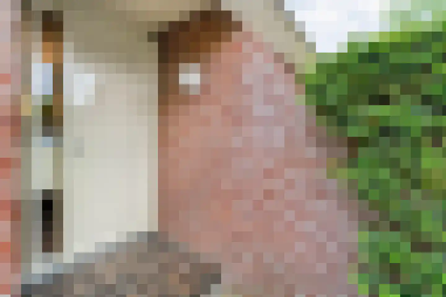 Prins Bernhardlaan 8 Wijhe thumbnail 10
