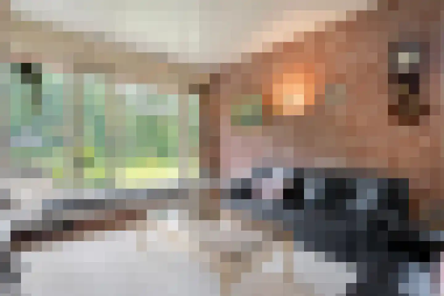 Prins Bernhardlaan 8 Wijhe thumbnail 20