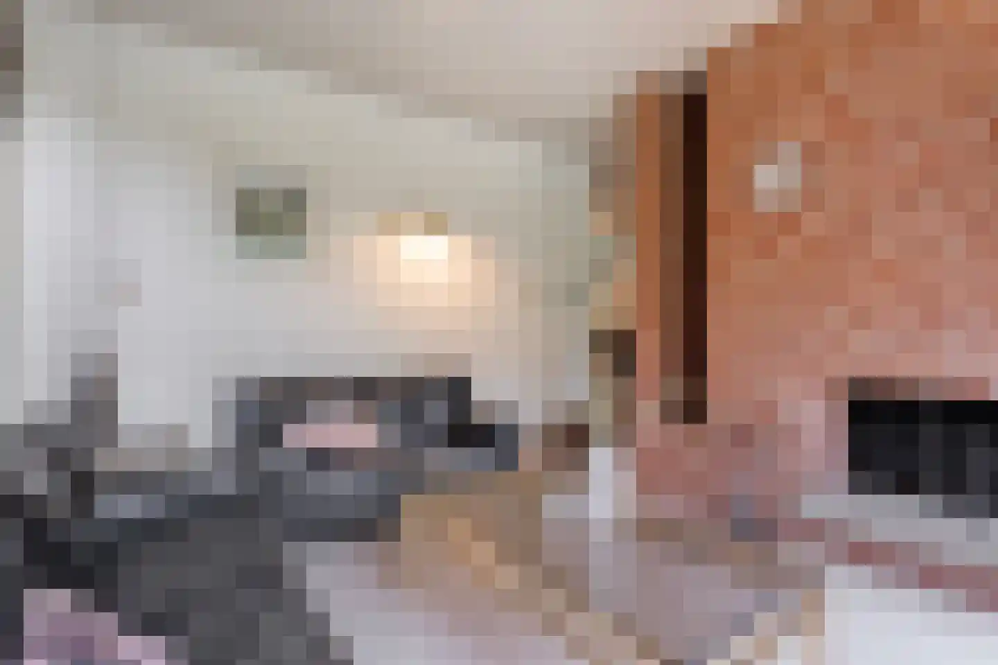 Prins Bernhardlaan 8 Wijhe thumbnail 21