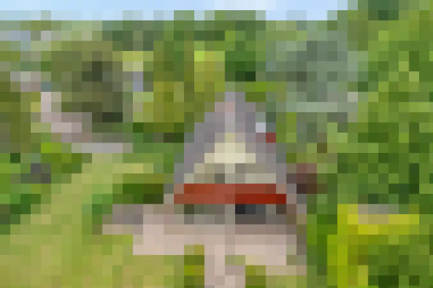 Prins Bernhardlaan 8 Wijhe foto 3