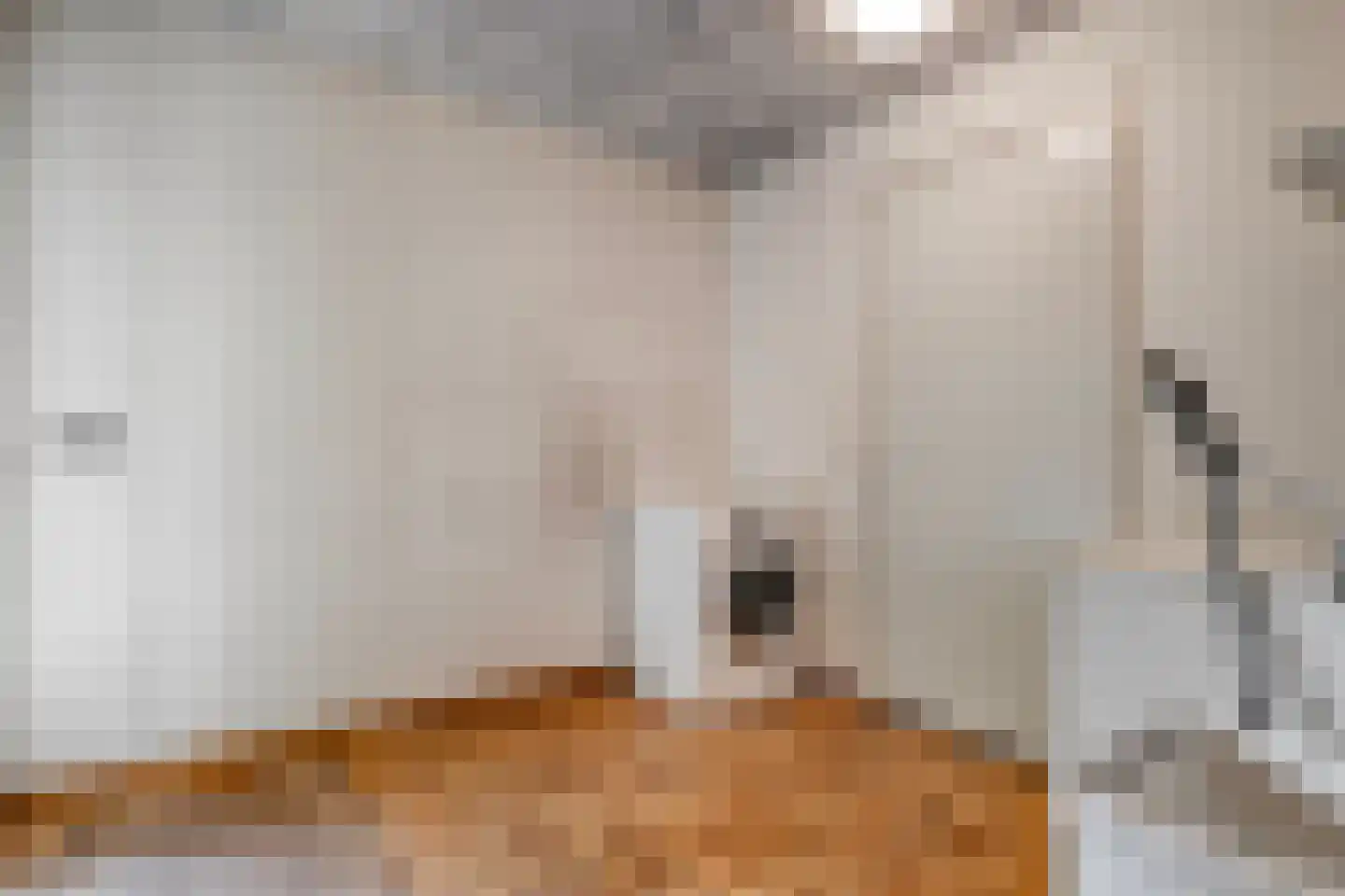 Prins Bernhardlaan 8 Wijhe thumbnail 31