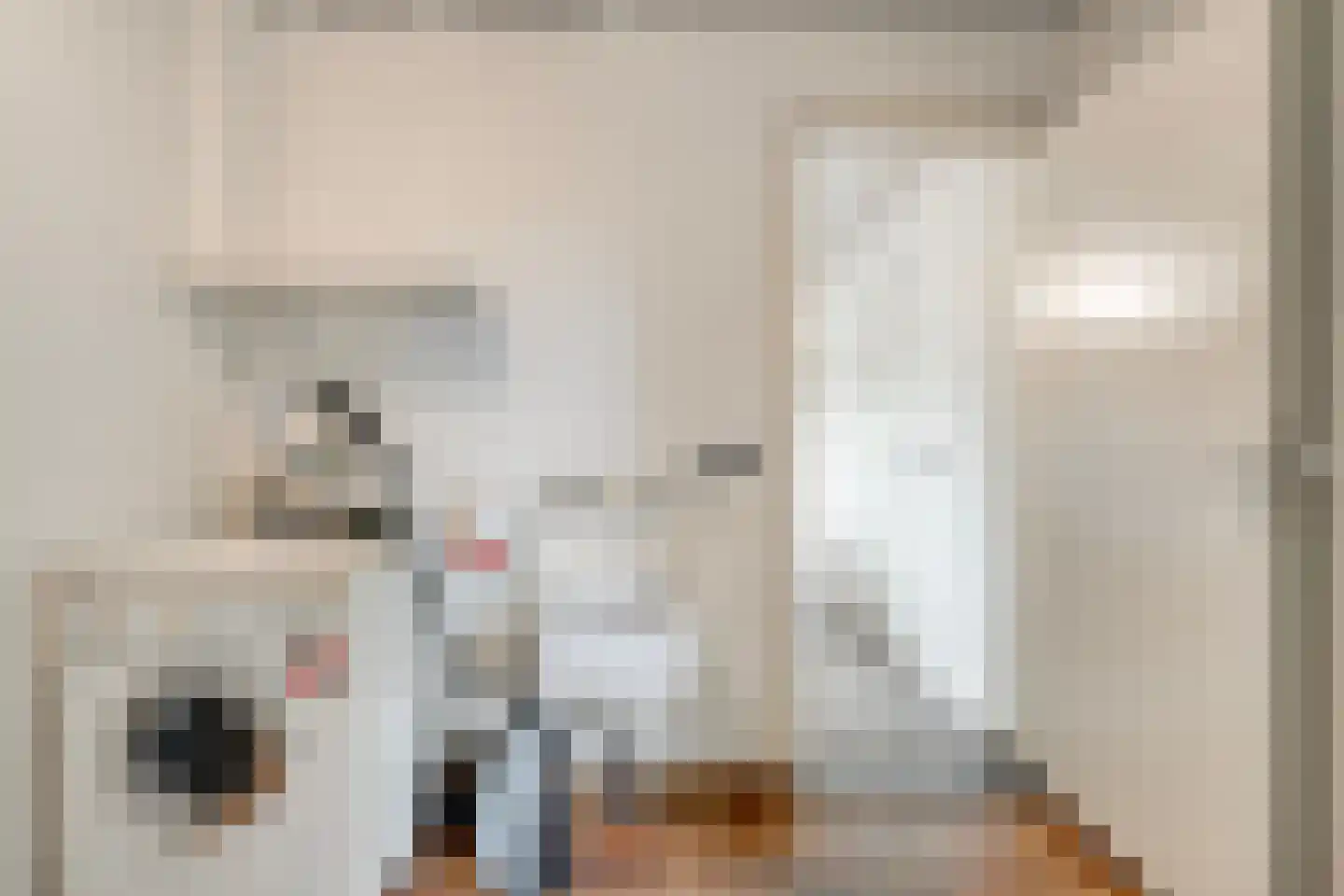 Prins Bernhardlaan 8 Wijhe thumbnail 32