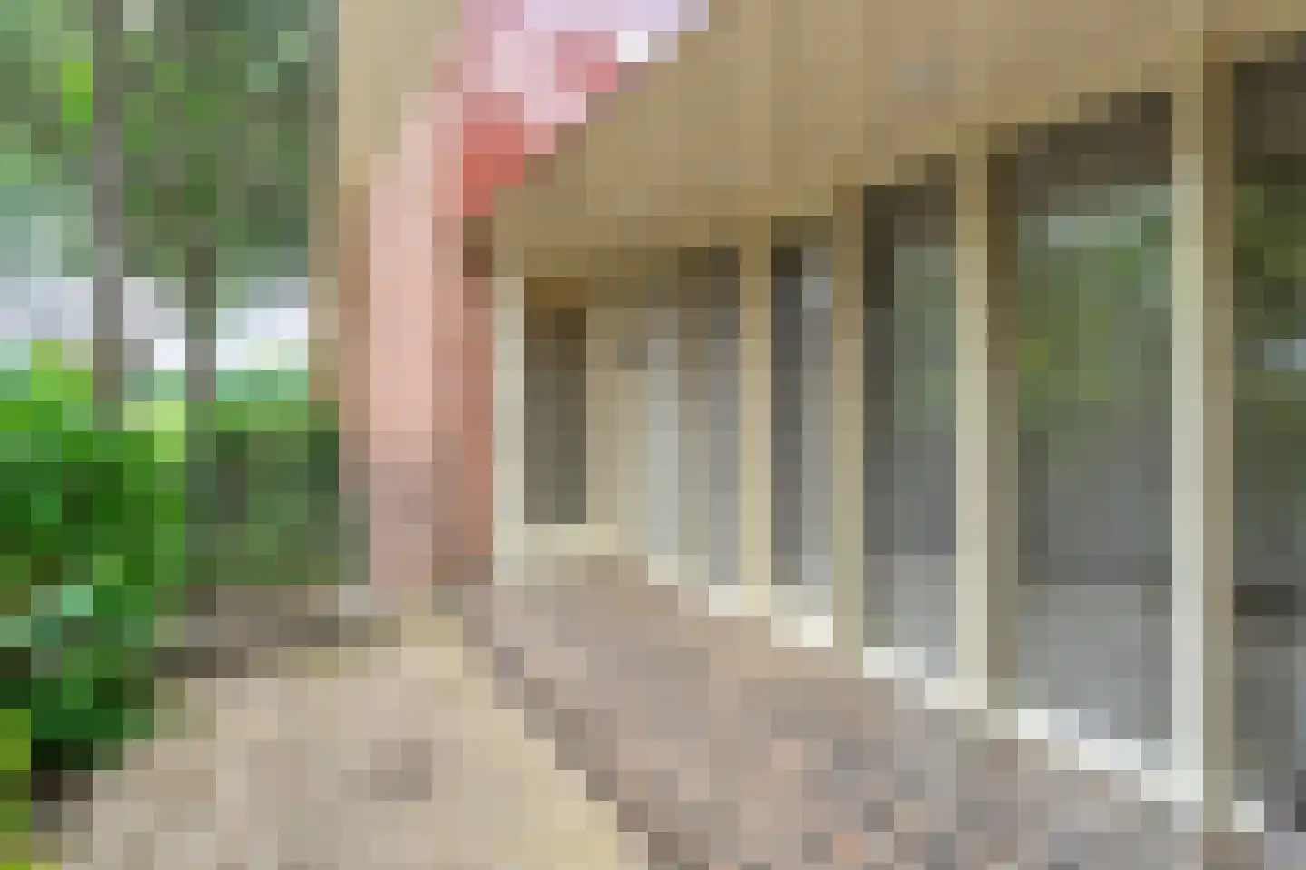 Prins Bernhardlaan 8 Wijhe thumbnail 34