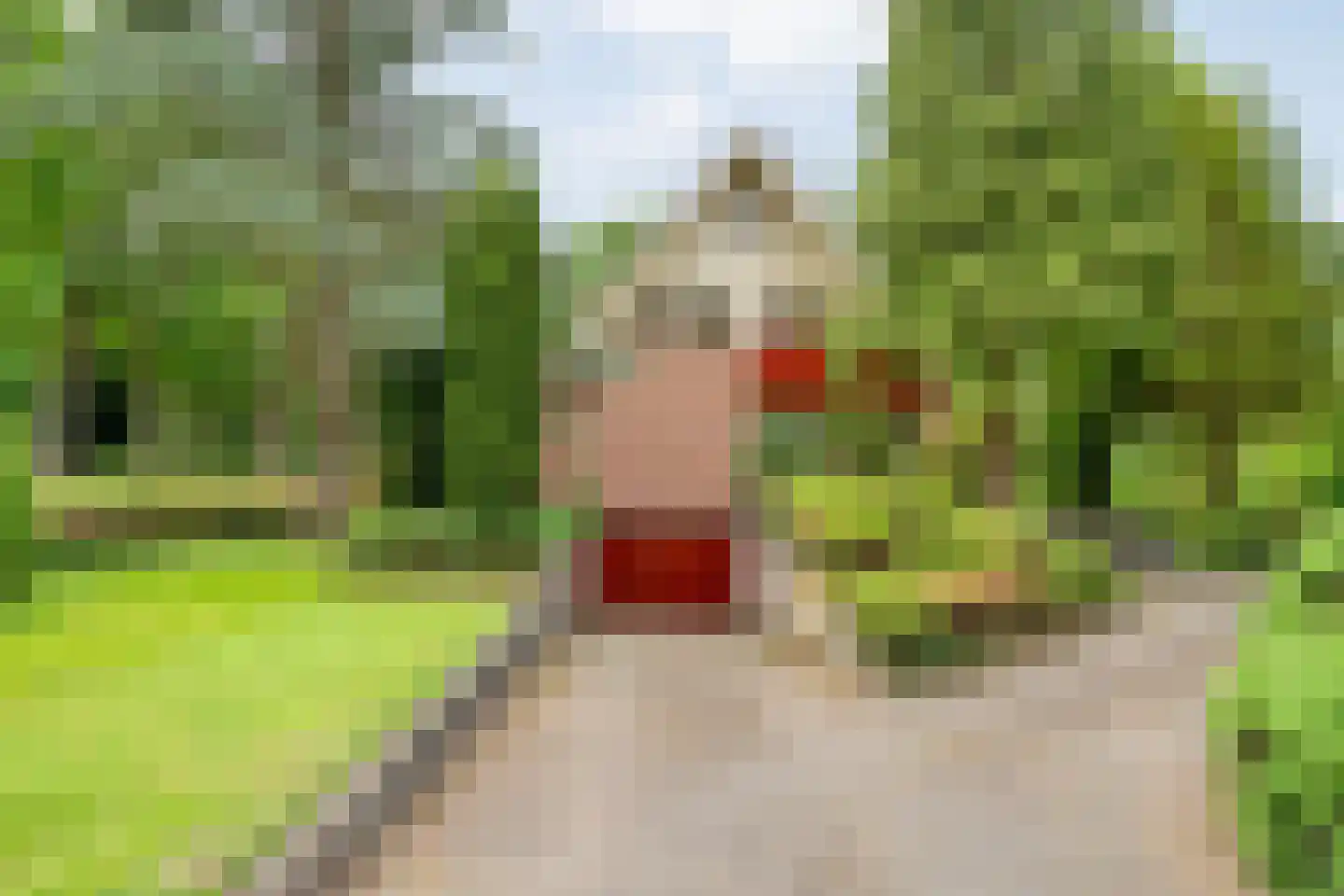 Prins Bernhardlaan 8 Wijhe thumbnail 4
