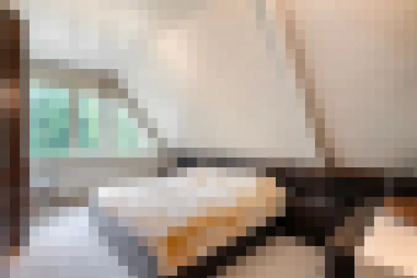 Prins Bernhardlaan 8 Wijhe thumbnail 40