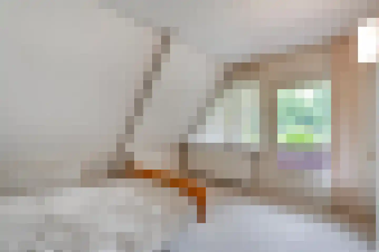 Prins Bernhardlaan 8 Wijhe thumbnail 42