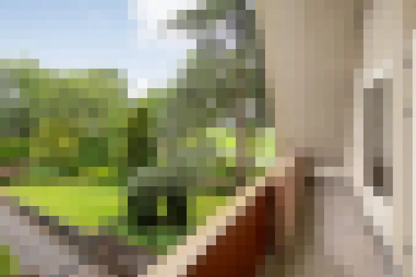 Prins Bernhardlaan 8 Wijhe thumbnail 50