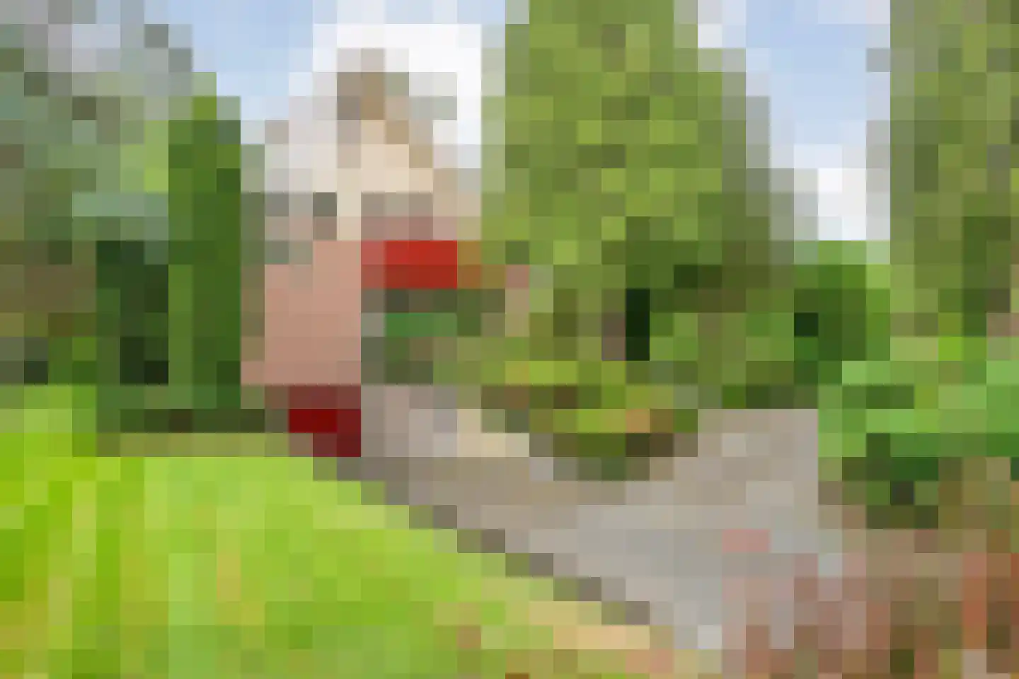 Prins Bernhardlaan 8 Wijhe thumbnail 6