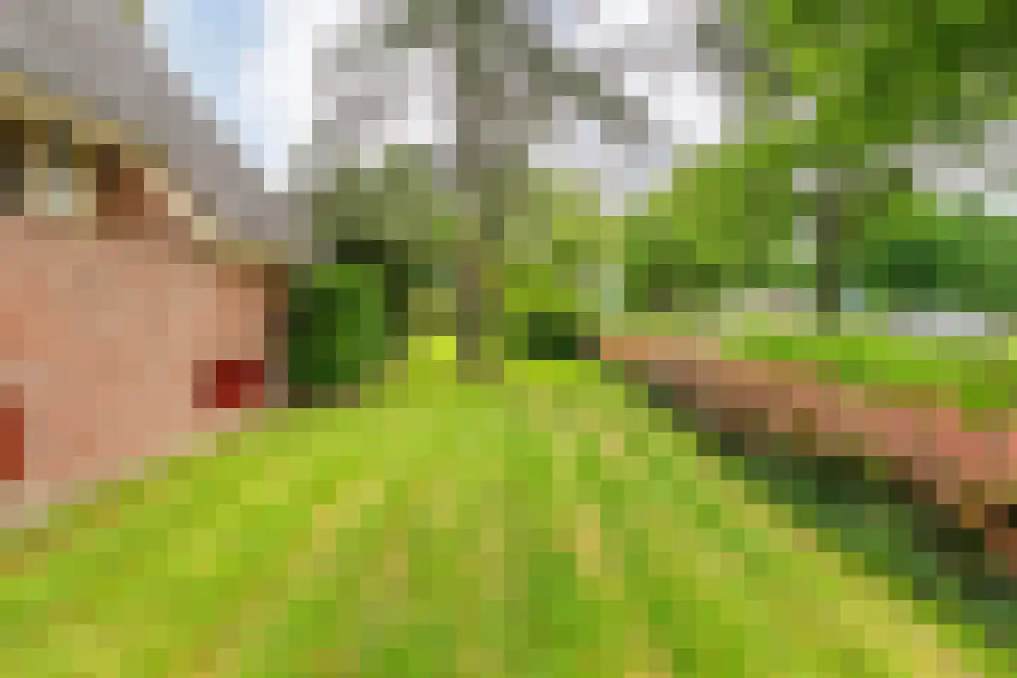 Prins Bernhardlaan 8 Wijhe thumbnail 64