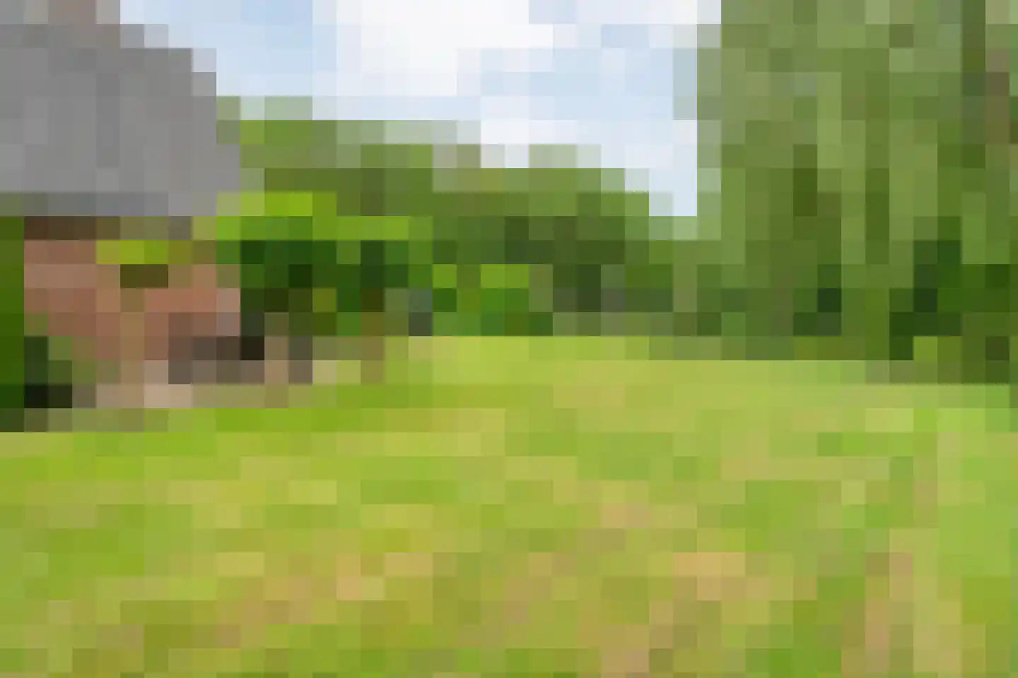 Prins Bernhardlaan 8 Wijhe thumbnail 67