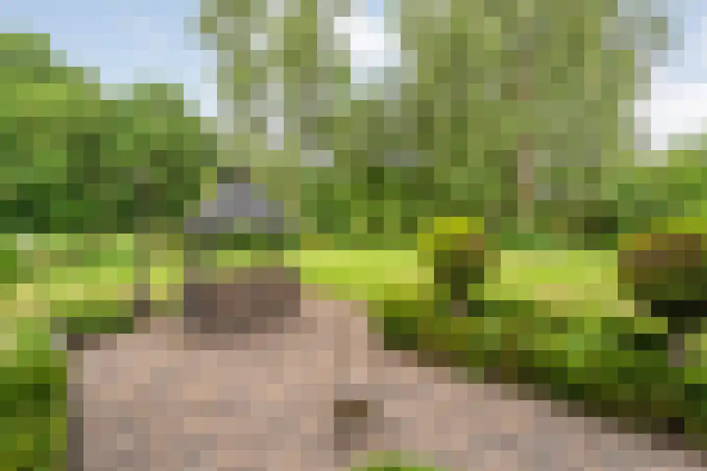 Prins Bernhardlaan 8 Wijhe thumbnail 72