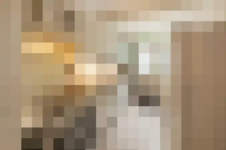 Prins Bernhardlaan 81 Ede thumbnail 15
