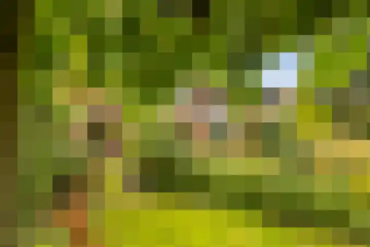 Prins Bernhardlaan 81 Ede thumbnail 27