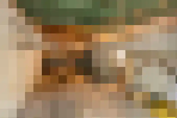 Prins Bernhardlaan 81 Ede thumbnail 30