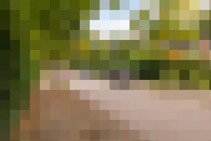 Prins Bernhardlaan 81 Ede thumbnail 33