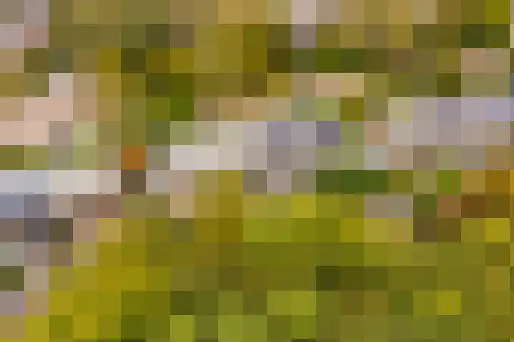 Prins Bernhardlaan 81 Ede thumbnail 34
