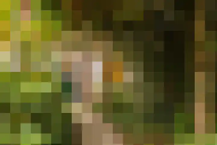 Prins Bernhardlaan 81 Ede thumbnail 6