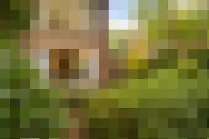 Prins Bernhardlaan 81 Ede thumbnail 7
