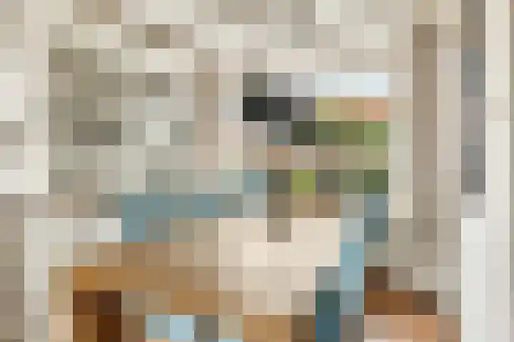 Prins Bernhardlaan 88 Maartensdijk thumbnail 12