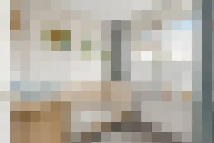 Prins Bernhardlaan 88 Maartensdijk thumbnail 18