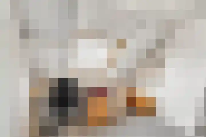 Prins Bernhardlaan 88 Maartensdijk thumbnail 25
