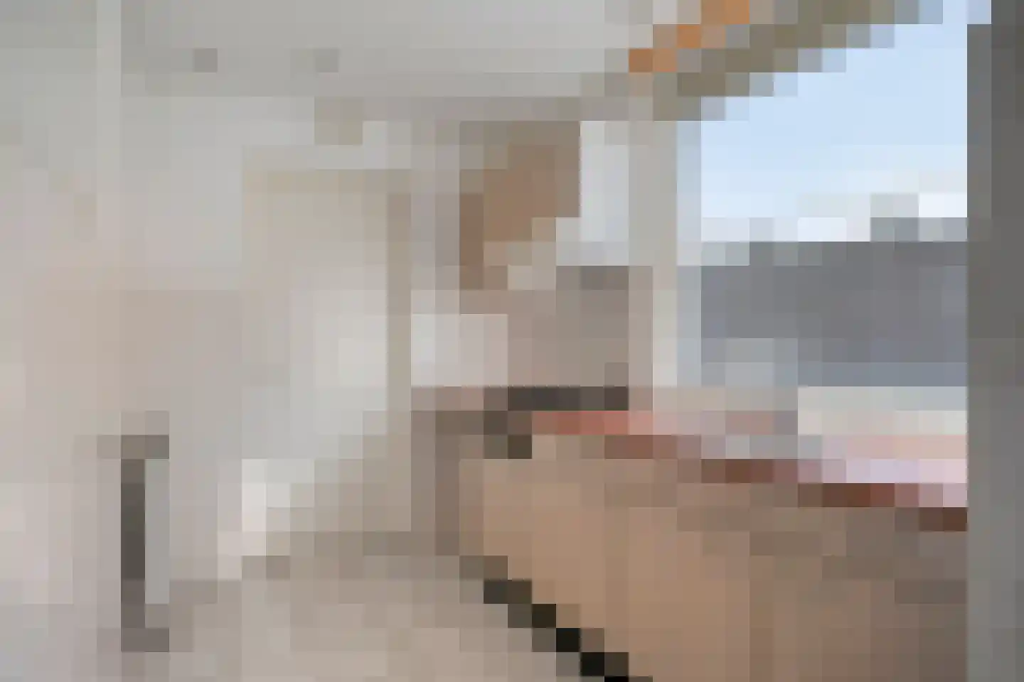 Prins Bernhardlaan 9 Heeze thumbnail 14