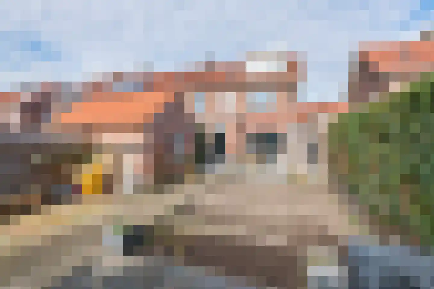 Prins Bernhardlaan 9 Tiel thumbnail 36