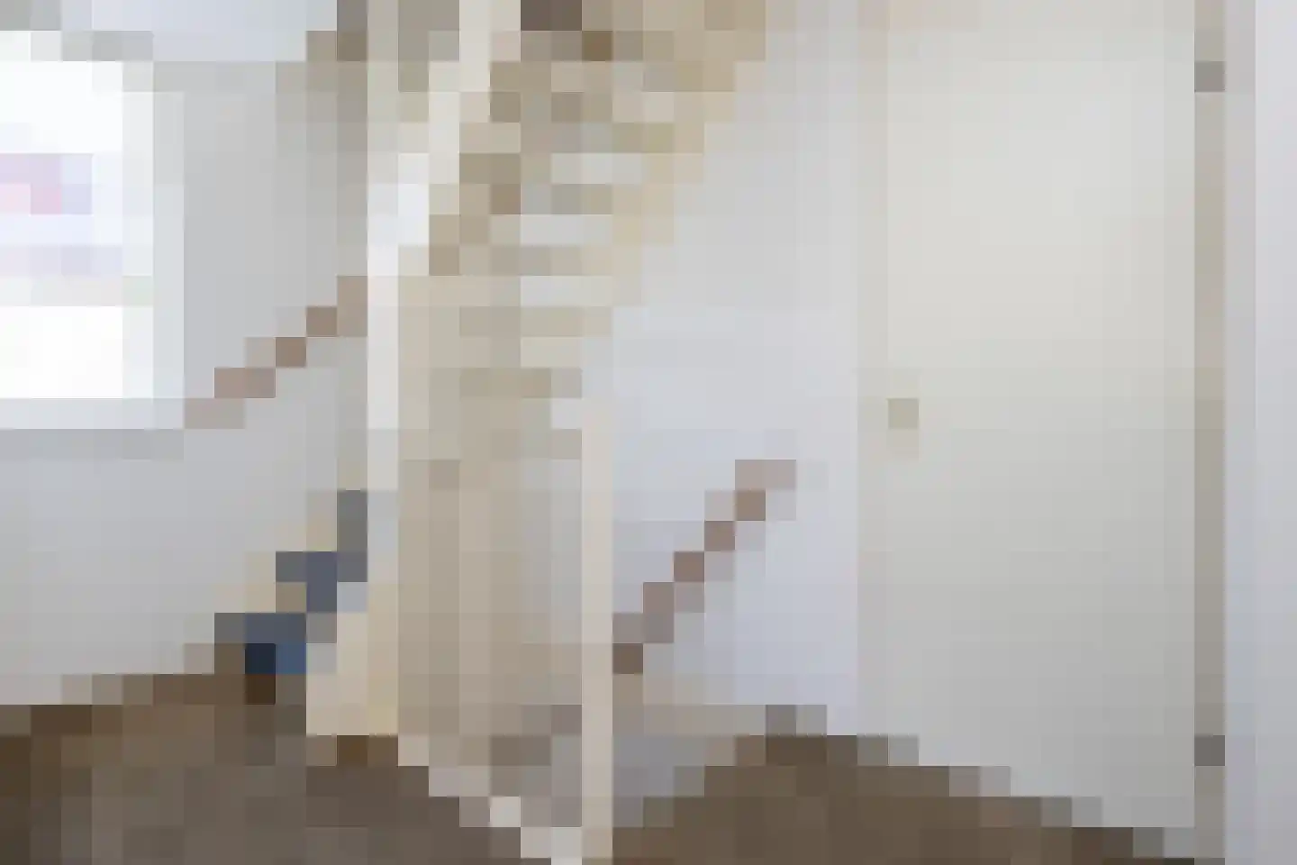 Prins Bernhardlaan 95 Middelharnis thumbnail 17