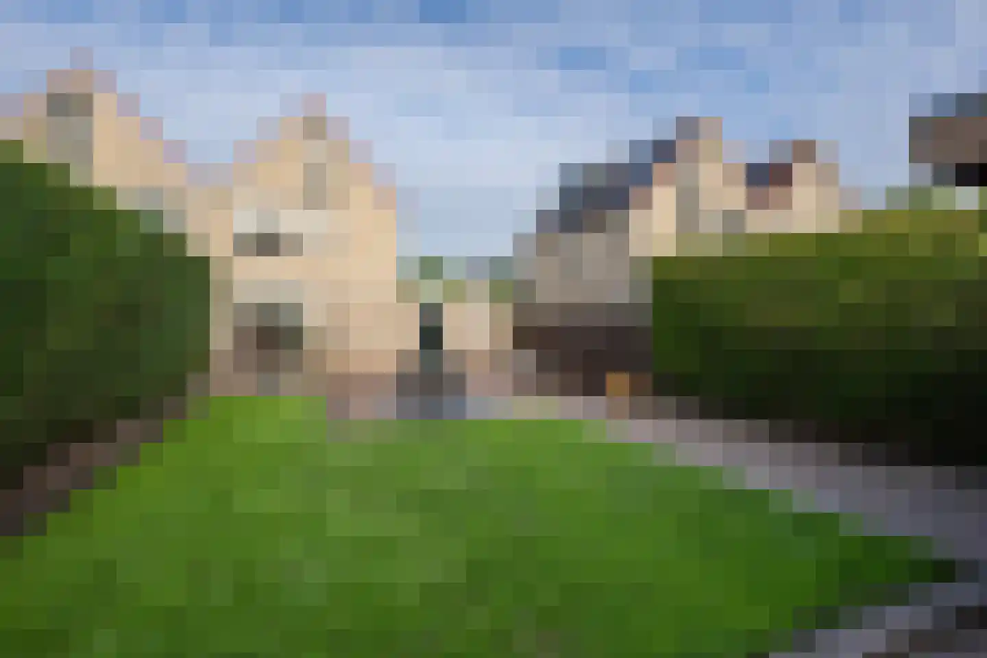 Prins Bernhardlaan 95 Middelharnis thumbnail 5