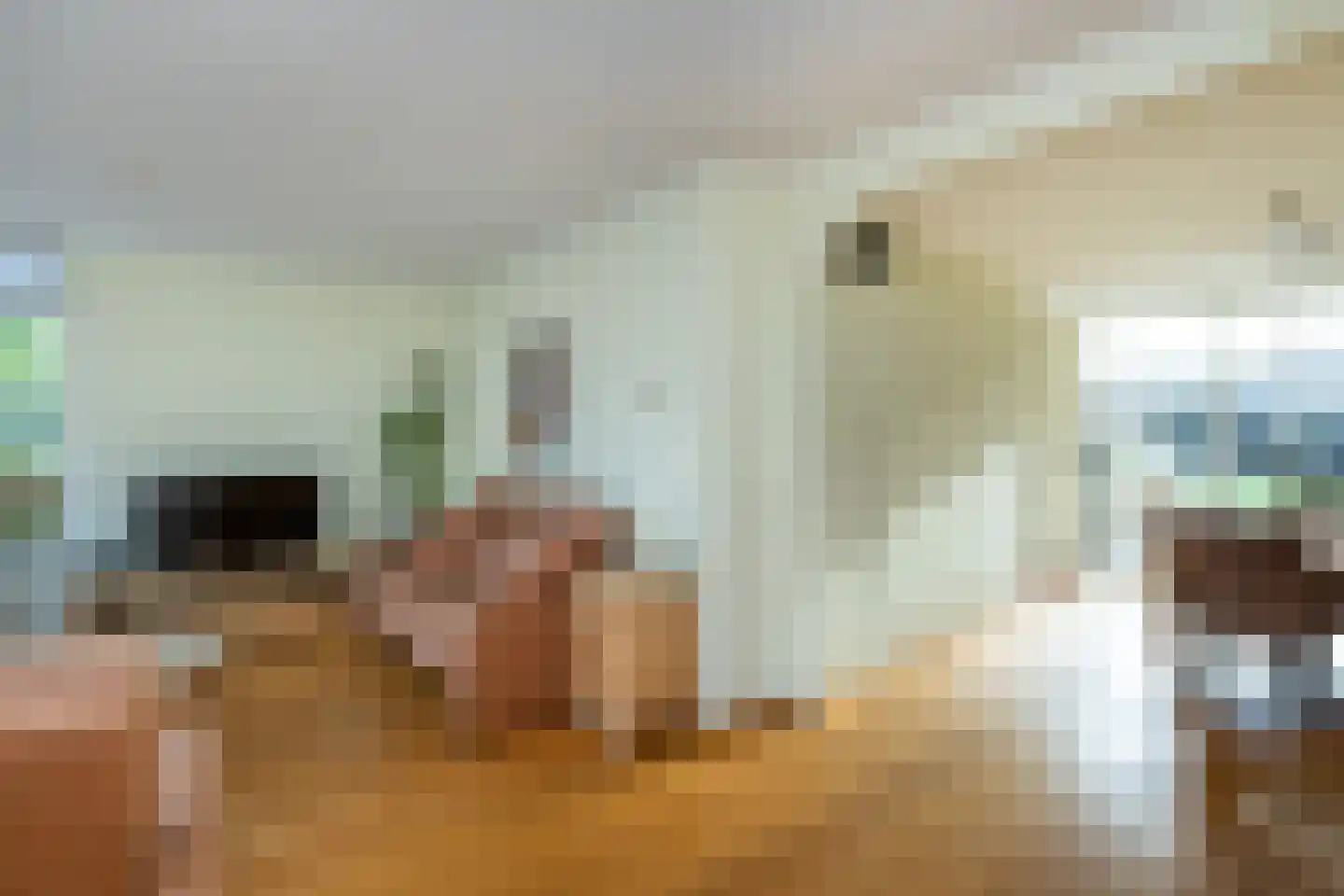 Prins Bernhardlaan 95 Middelharnis thumbnail 9