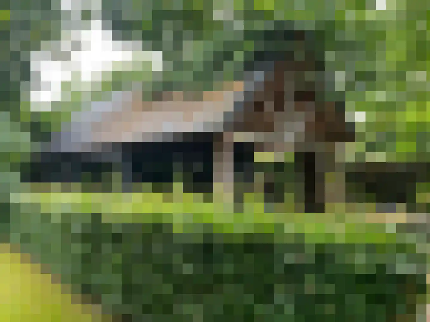 Prins Bernhardlaan Soest foto 3