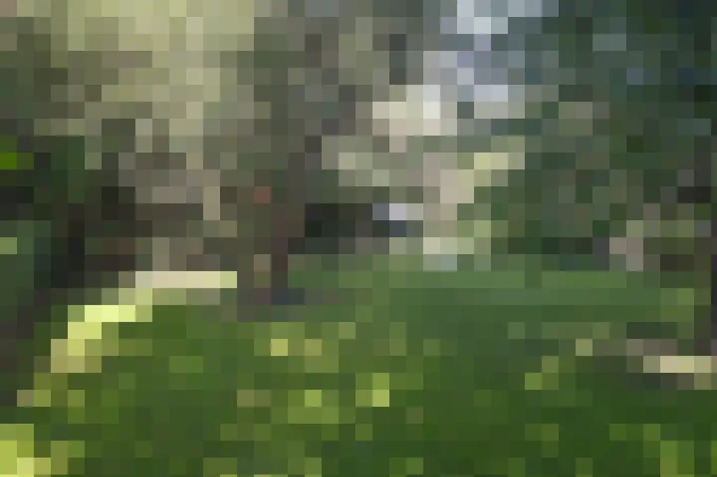 Prins Bernhardlaan Soest thumbnail 7