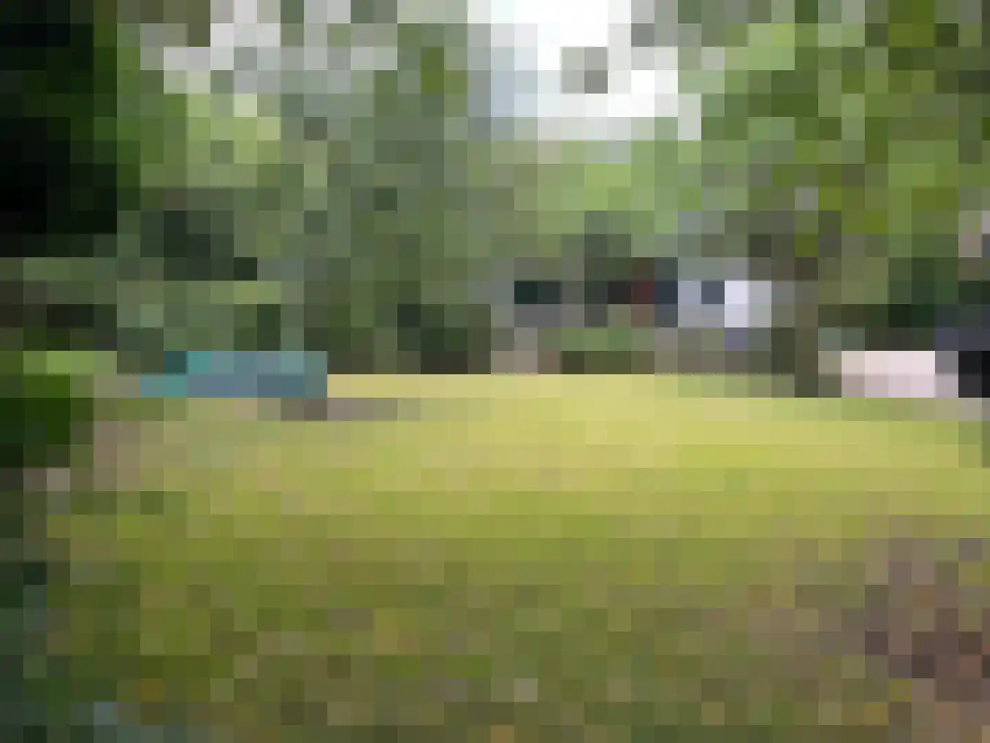 Prins Bernhardlaan Soest thumbnail 8