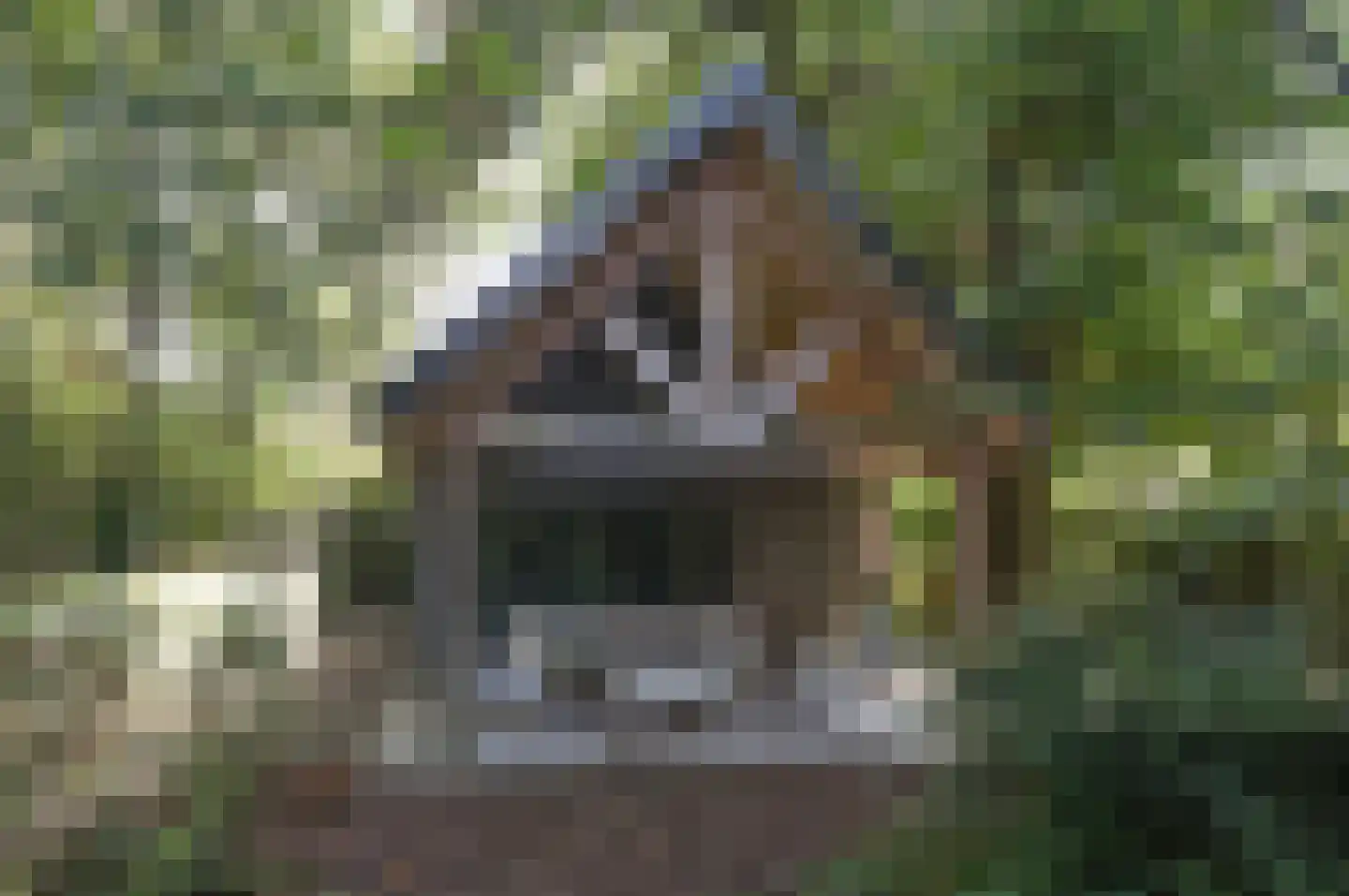 Prins Bernhardlaan Soest thumbnail 9
