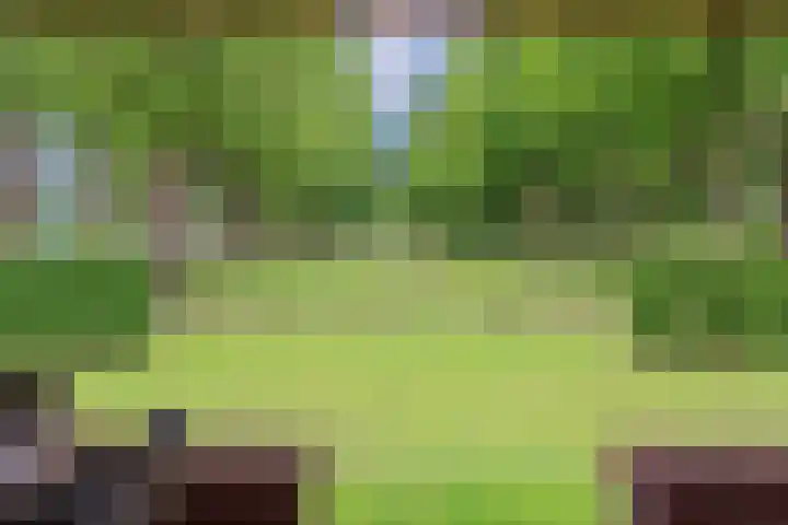Prins Bernhardpark 2 Enschede thumbnail 70