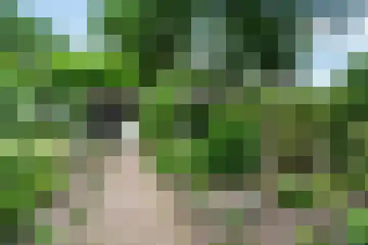 Prins Bernhardpark 2 Enschede thumbnail 76