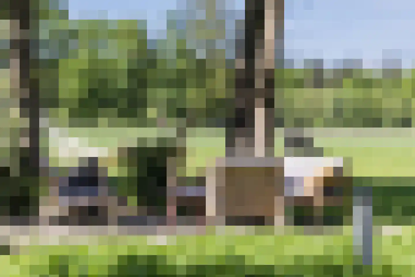 Prins Bernhardpark 34 Enschede thumbnail 45