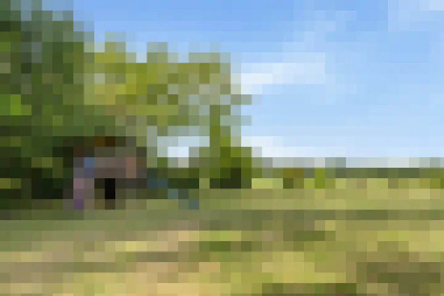 Prins Bernhardpark 56 B Enschede thumbnail 59