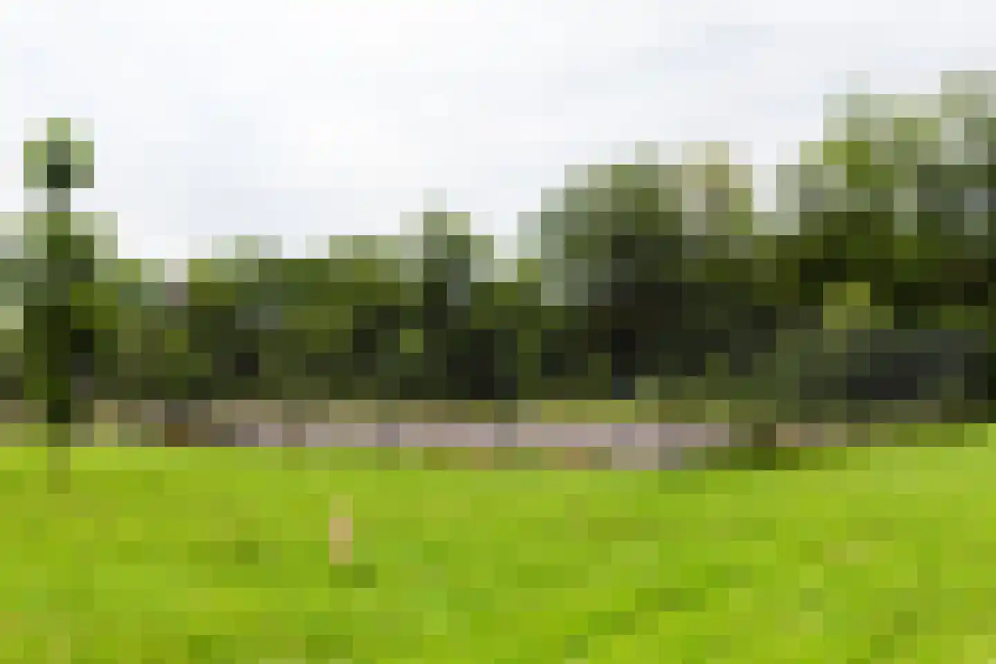 Prins Bernhardpark 56 B Enschede thumbnail 71
