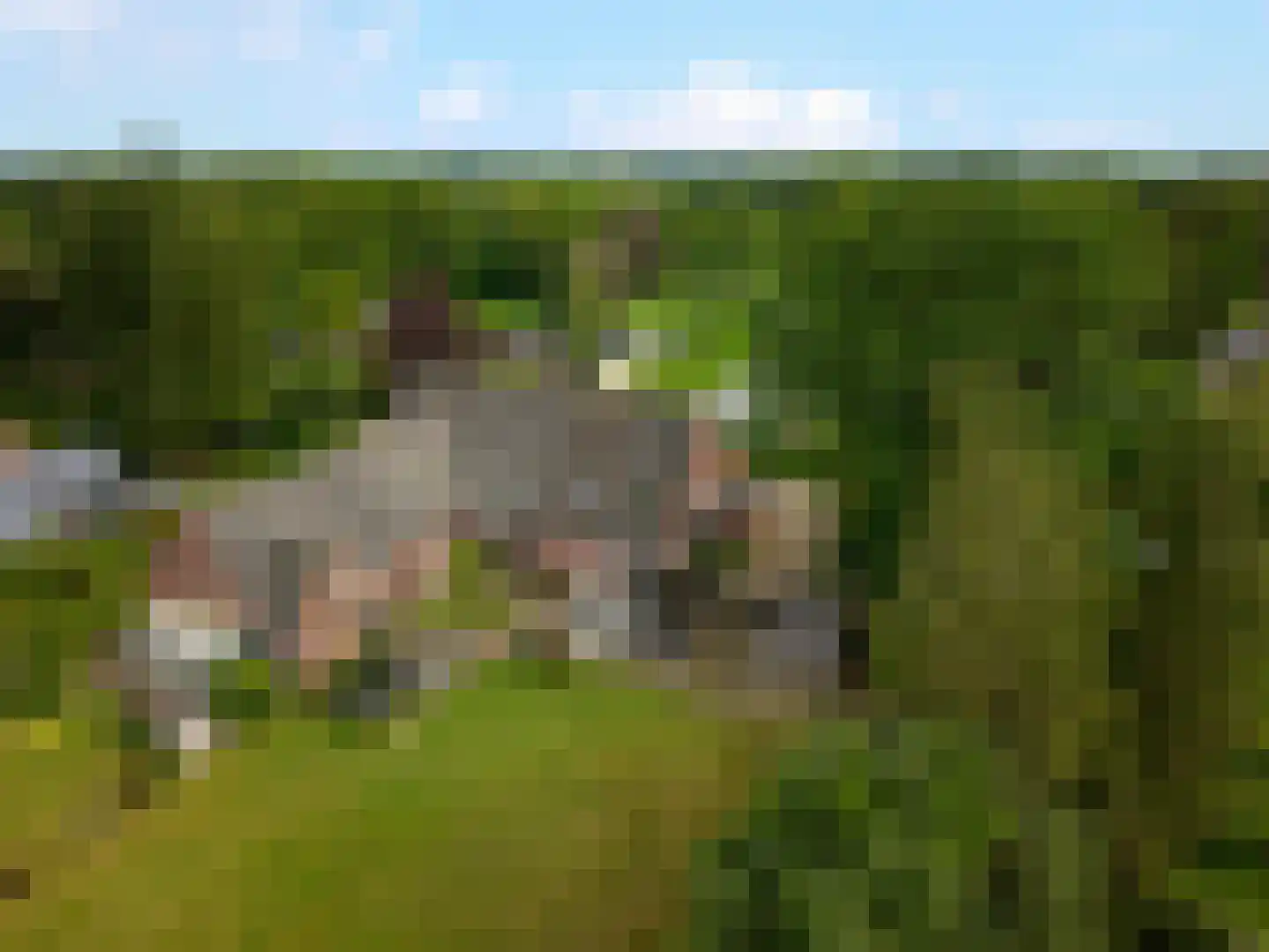 Prins Bernhardpark 56 B Enschede thumbnail 72