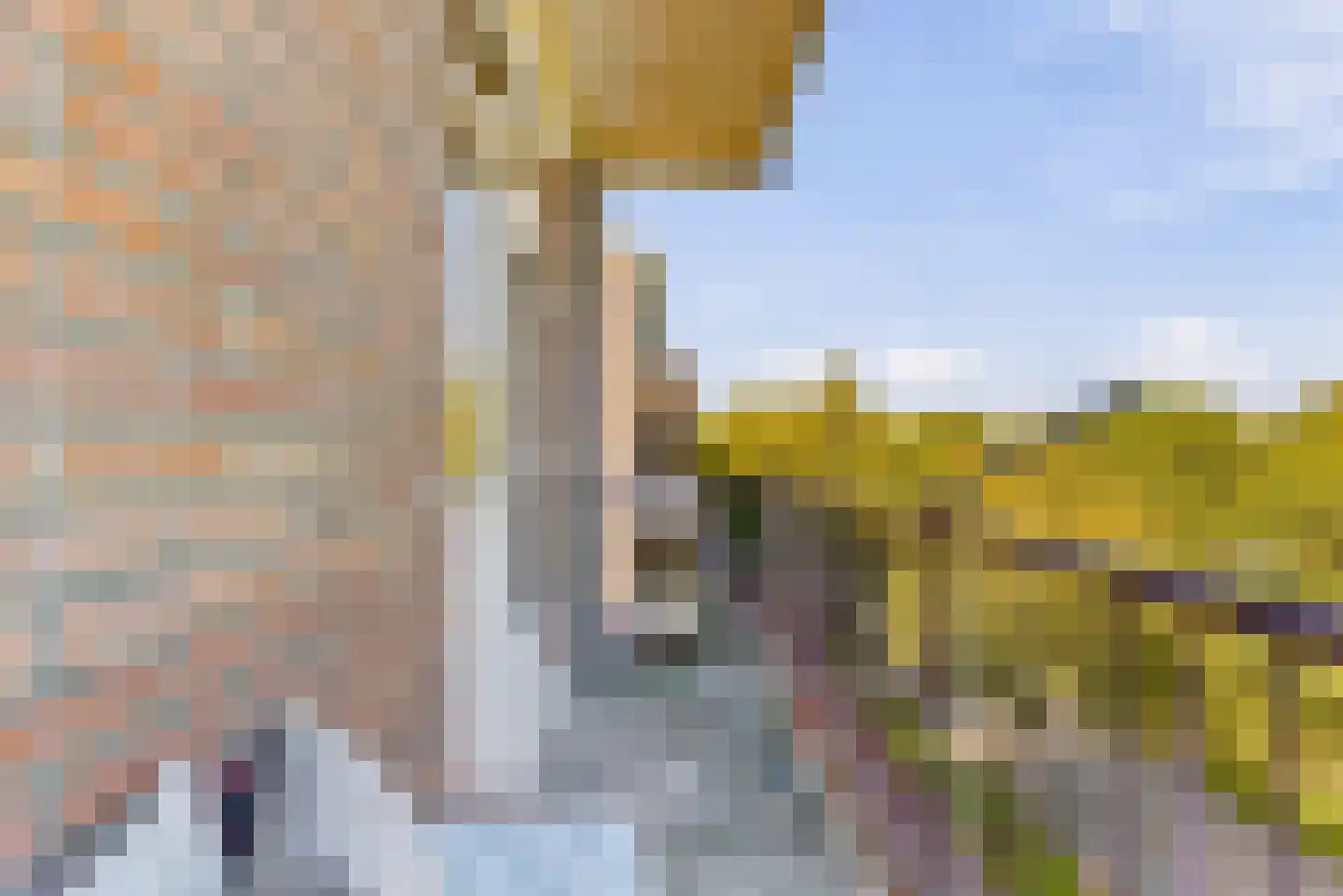 Prins Bernhardplein 15 Utrecht thumbnail 27