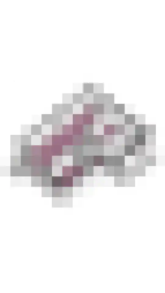 Prins Bernhardplein 16 Utrecht thumbnail 33