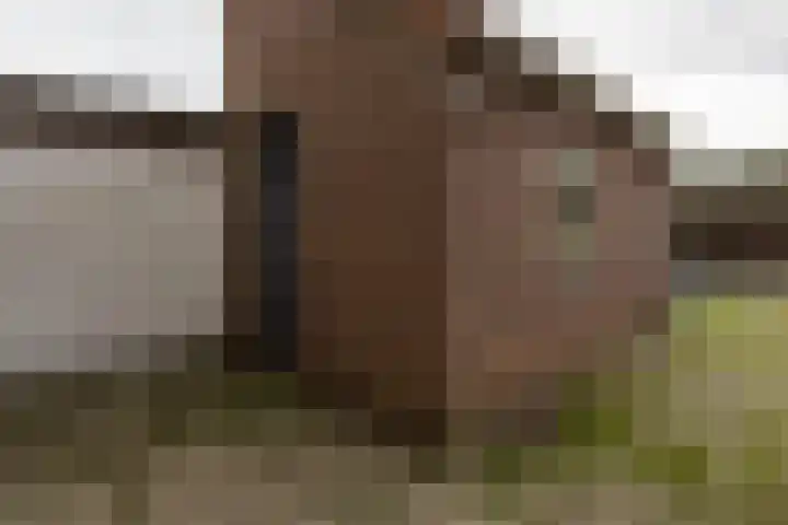 Prins Bernhardplein 2 Kaatsheuvel thumbnail 4