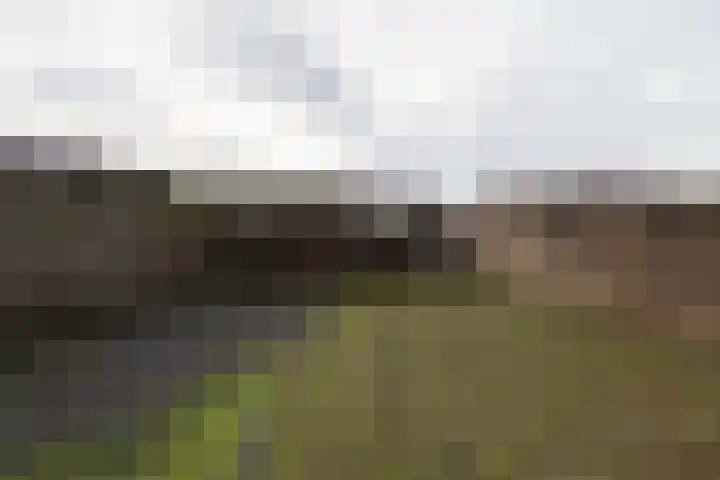 Prins Bernhardplein 2 Kaatsheuvel thumbnail 5